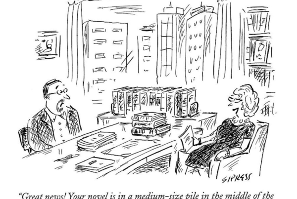Judy Goldman - How to Get an Agent